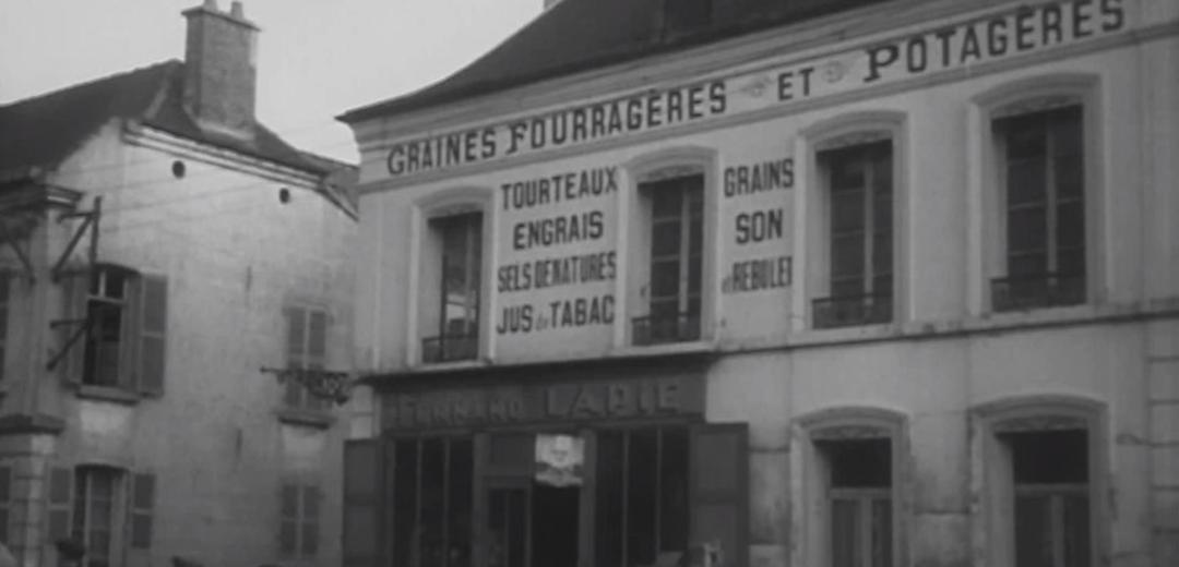 马蒂斯在色彩上注重什么,马蒂斯作品中异域的东方色彩