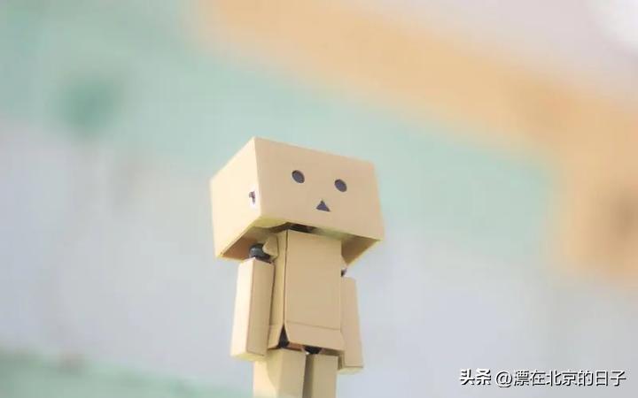 公立国际部就读感受,公立国际部的优点