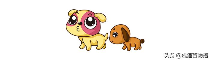 狗狗在狗窝乱拉屎尿如何解决,狗狗在笼子里乱翻窝