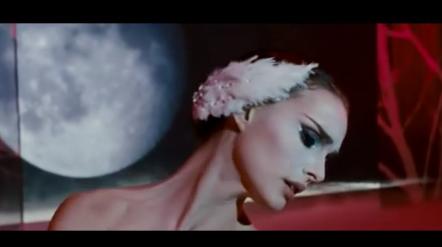 黑天鹅成长,黑天鹅破壳困难