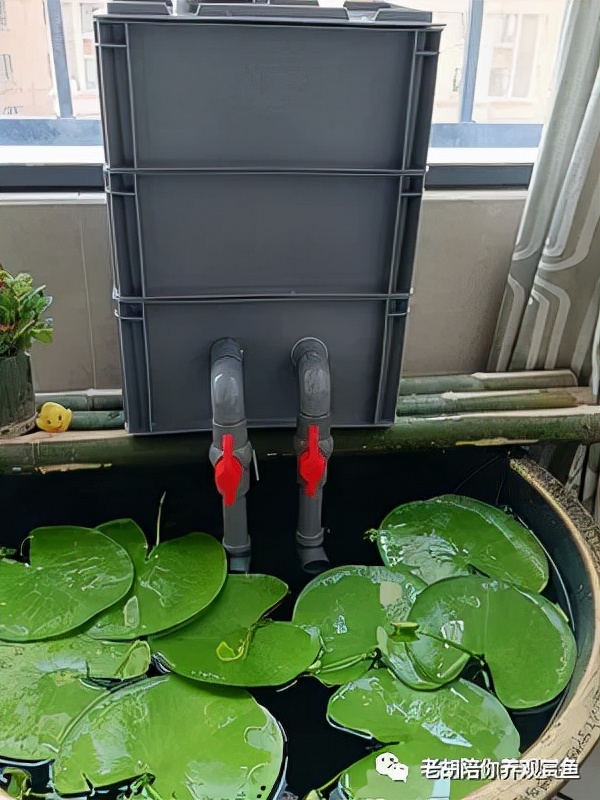 周转箱过滤好不好用,周转箱做过滤教程