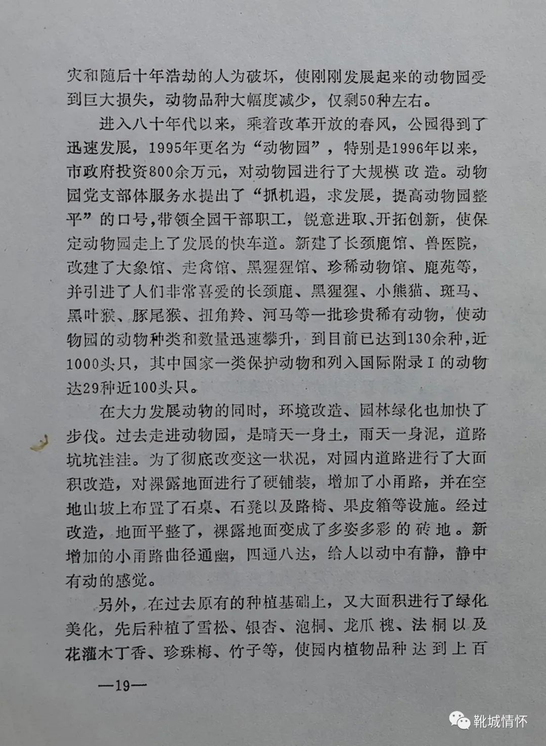 靴城情怀｜回忆20年前的园林局演讲会（6）