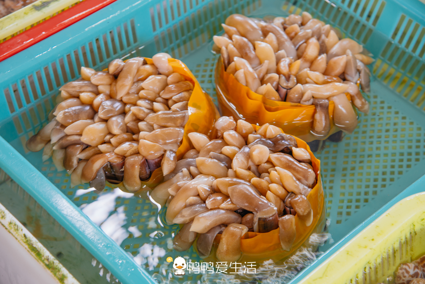 南沙十九涌渔人码头路边海鲜,广州十九涌海鲜码头