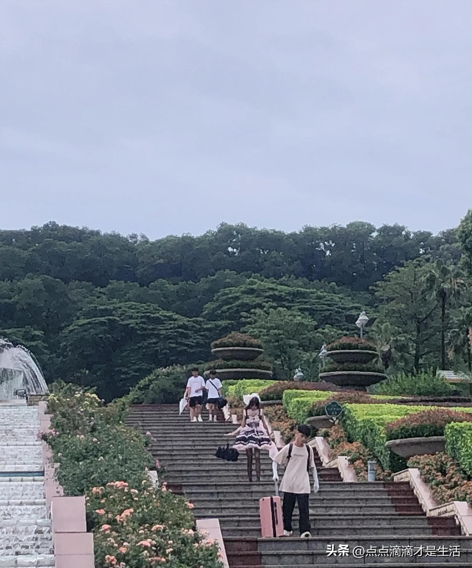 广州云台最美的花园,广州白云云台花园拍照