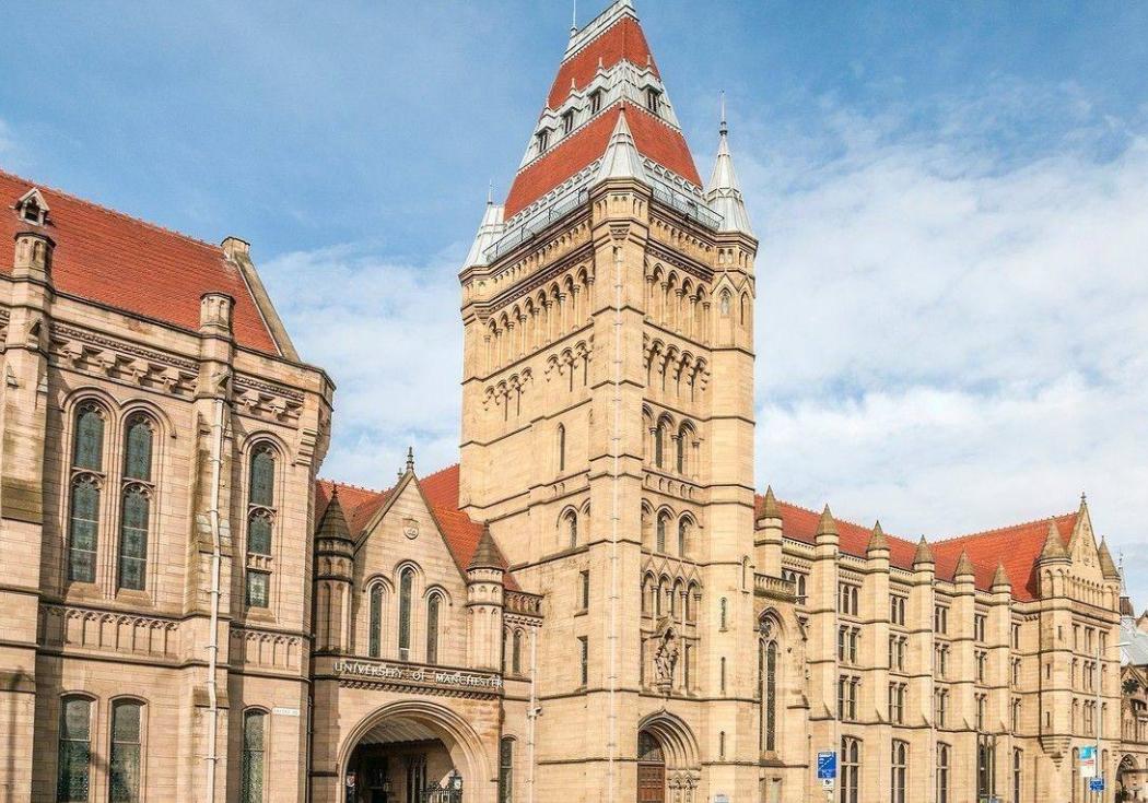 王曼爱华录取率分析,王曼爱华录取条件