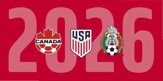 世界杯举办城市,世界杯举办国公布瞬间