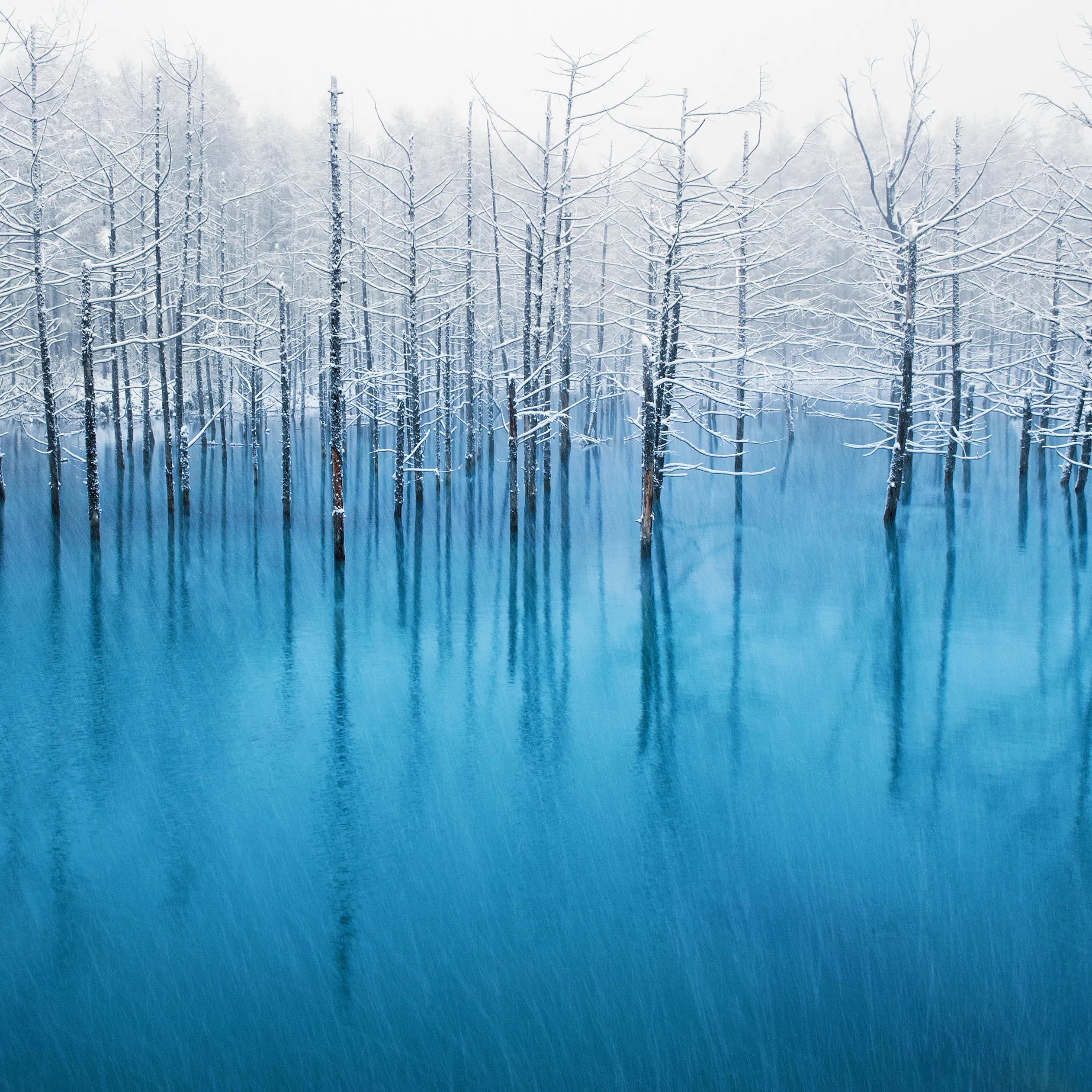 苹果手机曾经的原生壁纸,iphone最新所有原生壁纸