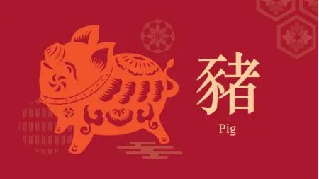 十二生肖英文谚语,英语十二生肖介绍