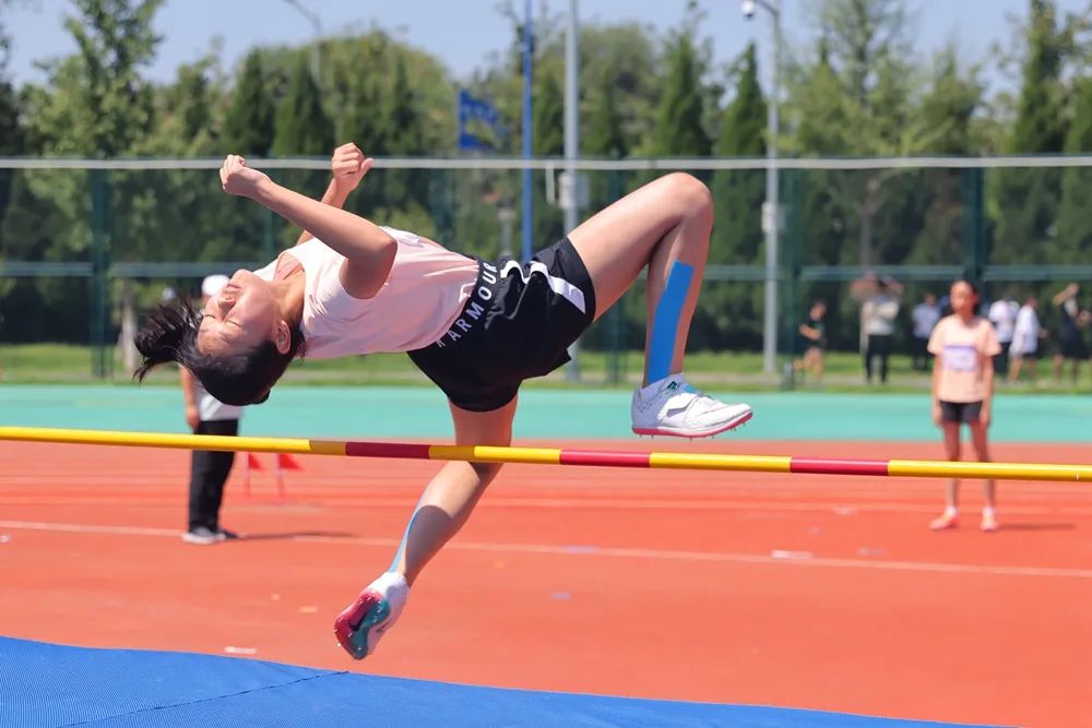 北京第十六届运动会石景山奖牌榜,北京市第十六届运动会朝阳赛场