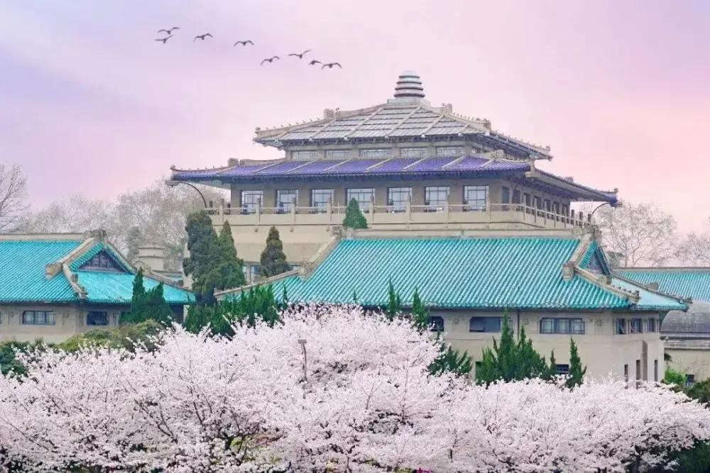 武汉大学被誉为最美大学主要不在于樱花，而在于其建筑和山水园林