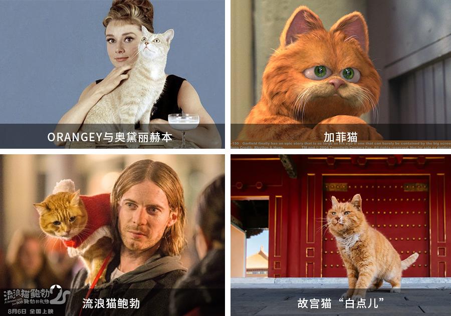 基因克隆最新突破,基因最新突破