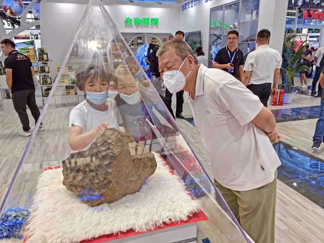 鎶㈠厛鎺㈢濂ョ壒鑾辨柉,鎶㈠厛鎺㈠崠鍦哄畬鏁寸増