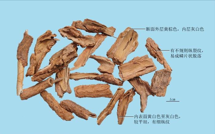 枸杞子配什么中药养肝补肾,本草纲目记载枸杞子滋肾润肺明目