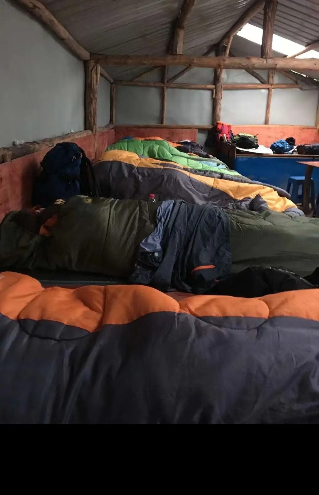 新疆农业大学在疆排名,全国教学评估新疆农业大学