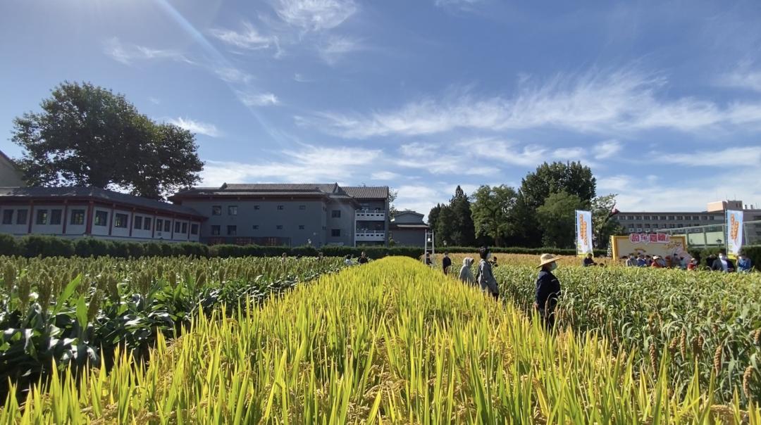 行走中轴线|祭天敬农：南中轴线上的两颗明珠
