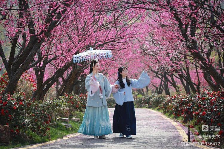 安吉竹海自驾游攻略一日游,安吉竹海旅游攻略二日游