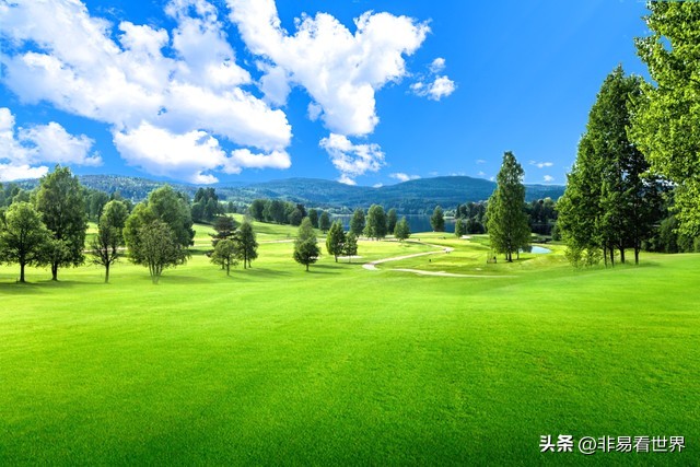 怎么快速又高效地学习英语,零基础如何系统地学习英语