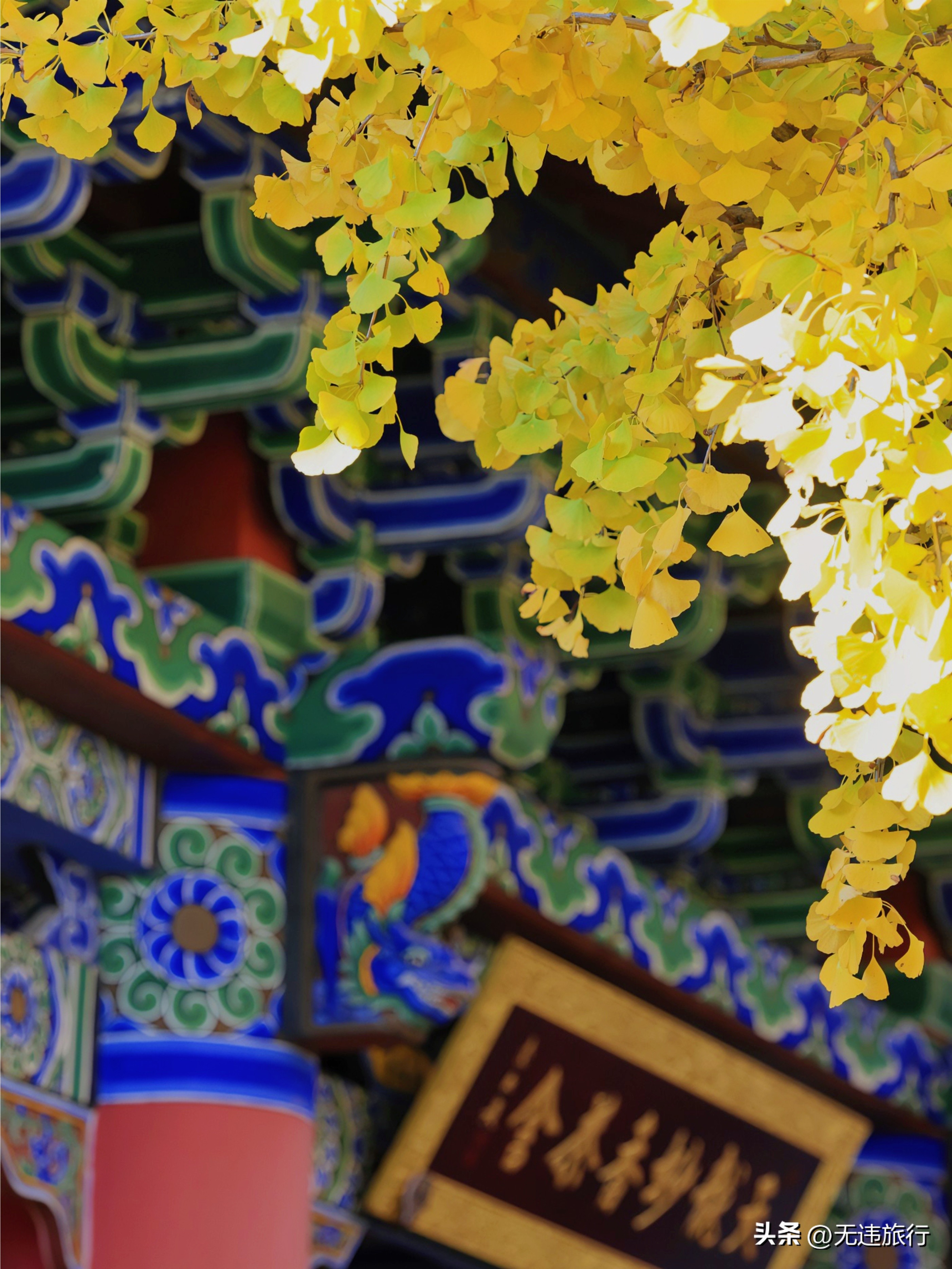 大理古城银杏叶美景,大理崇圣三塔附近景点