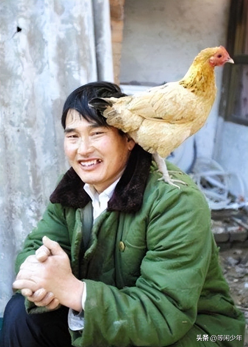 鸭头小哥,绿豆糕大爷,拉面哥,大衣哥,蹭流量的直播挖呀挖