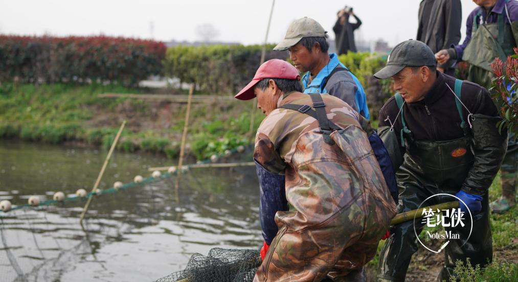 有关乡村振兴的创业机会,调研乡村特色发掘乡村创业机会