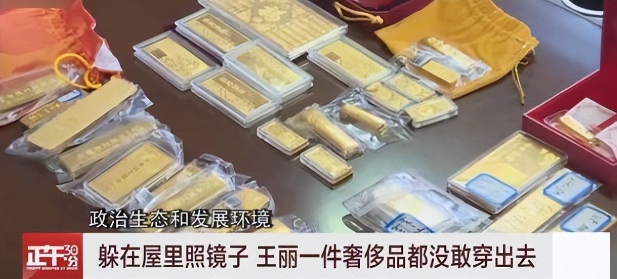 女贪官20多年老纪检：爱马仕丝巾整整一柜子，买了一套房藏匿赃物