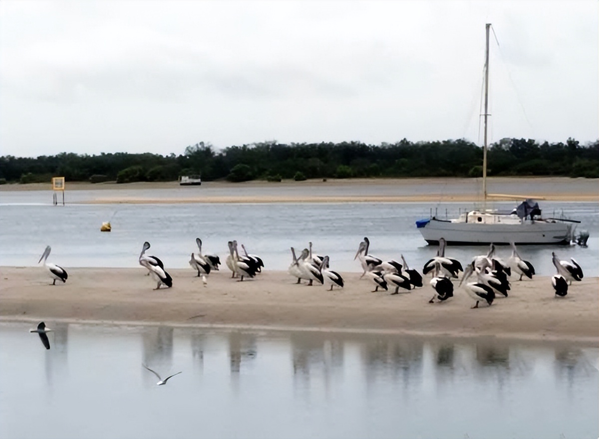 昆士兰洲纯玩自由行攻略,大洋洲除了澳大利亚哪里适合旅游