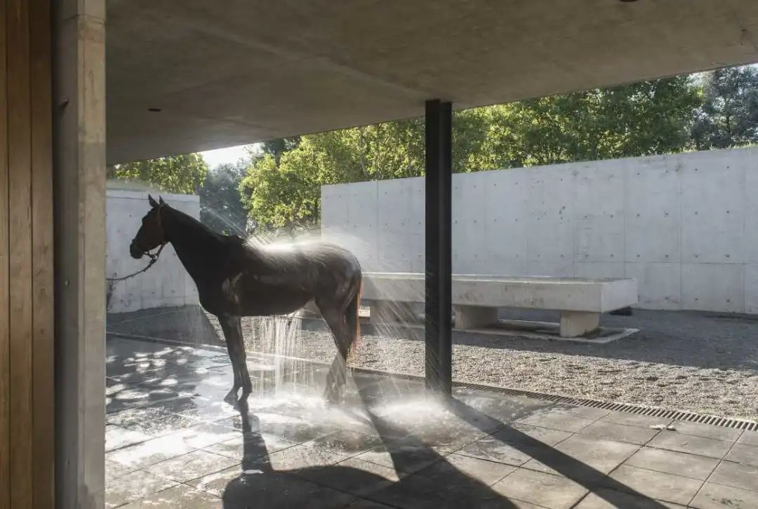 阿根廷EstudioRamos建筑事务所-真诚的现代主义！|EstudioRamos