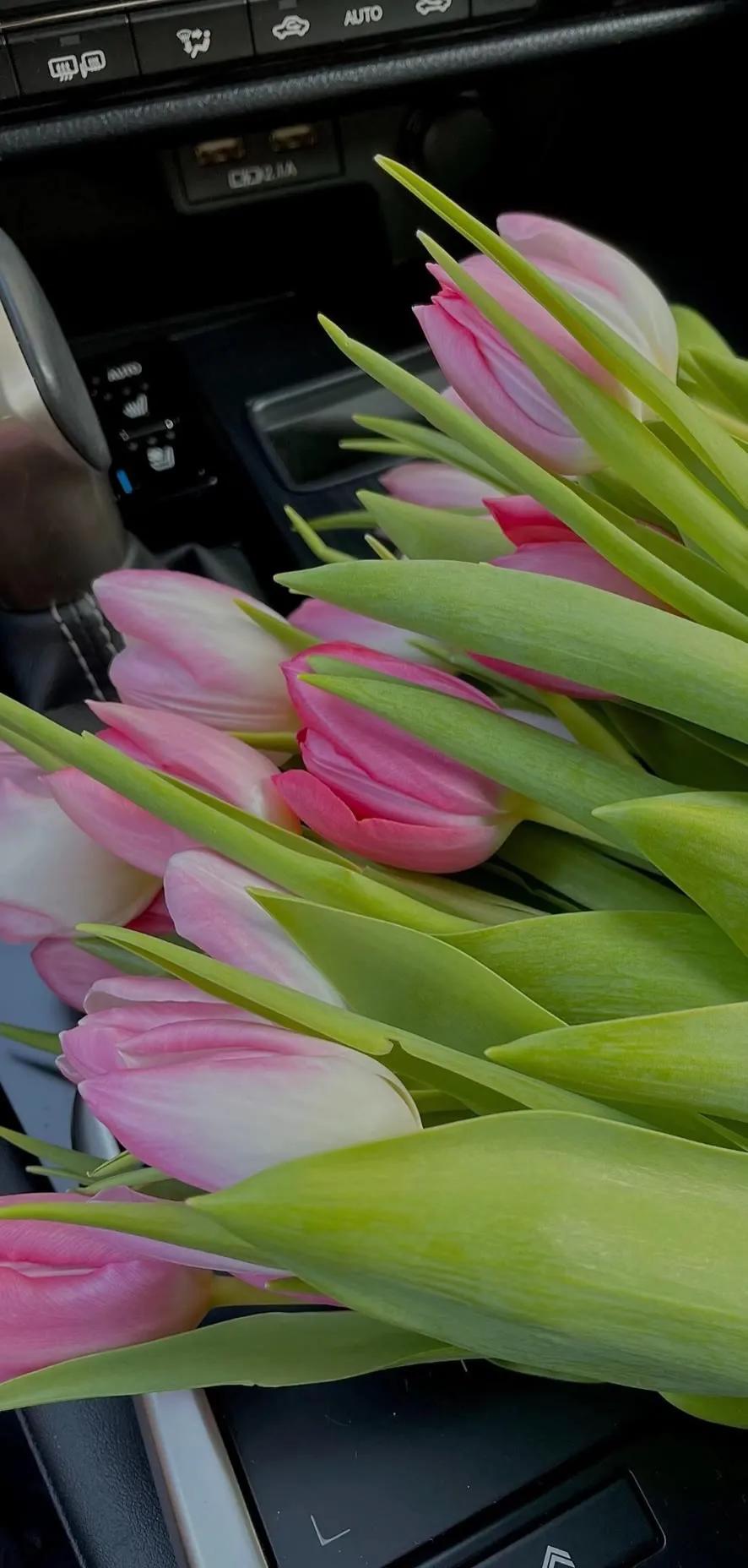 超高清海洋沙滩风景壁纸全屏,湛蓝的海水海滩风景高清壁纸