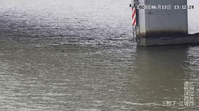 外卖小哥一跳拍掉箱子,外卖小哥跳嘉陵江