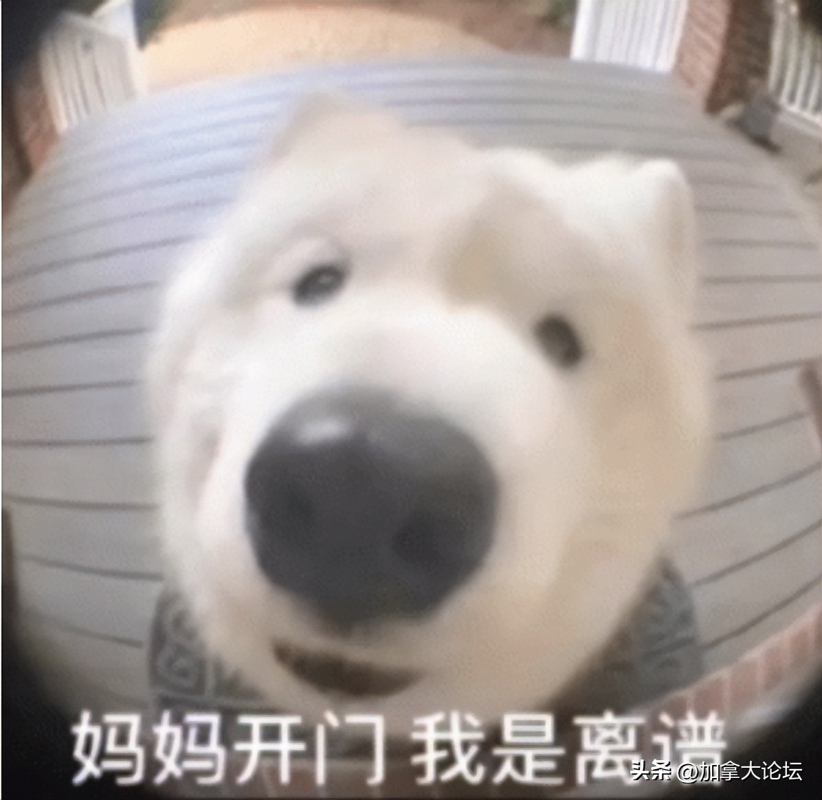 退烧药1000片瓶装,退烧药2盒110元