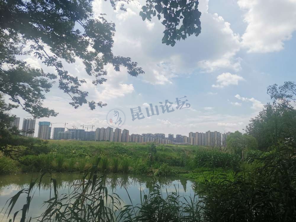 张浦高中什么时候弄好,张浦镇高中在哪里