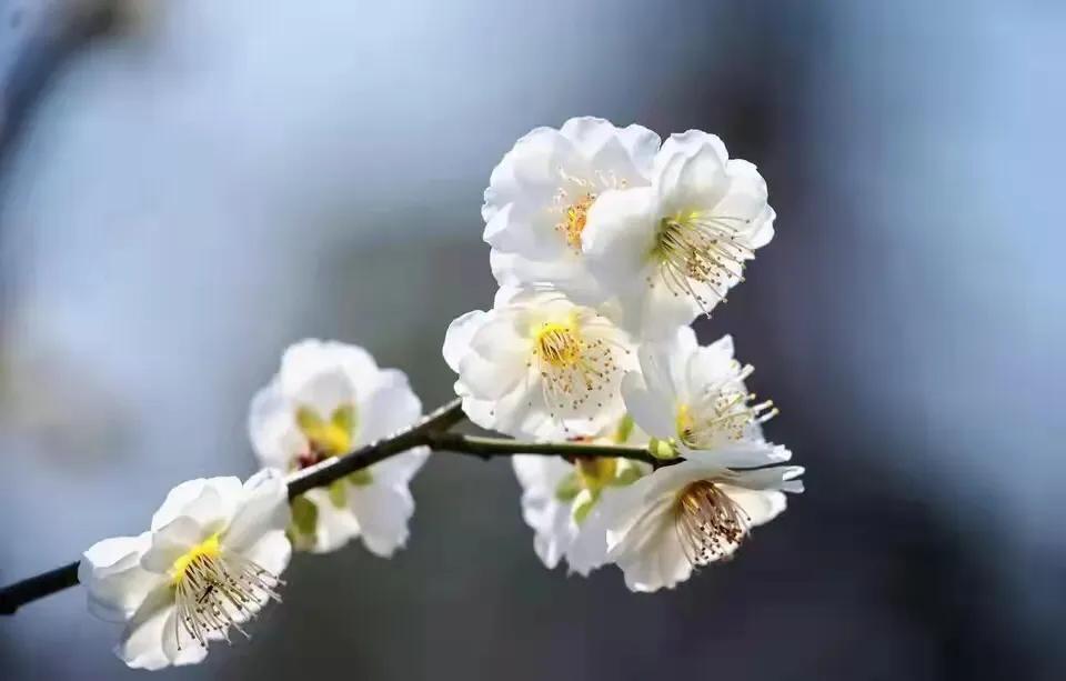 西安米字型高铁网络,米字型铁路网西安