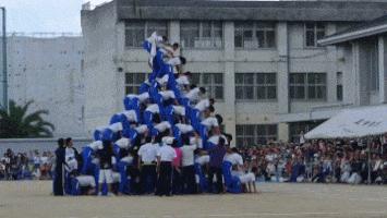 a股年度搞笑总结动图版,a股本周总结和思路