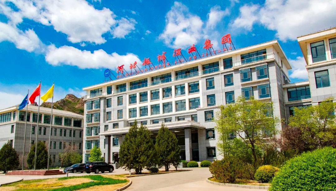 2024年平山县运动会,泌阳县第一届飞龙杯乒乓球比赛