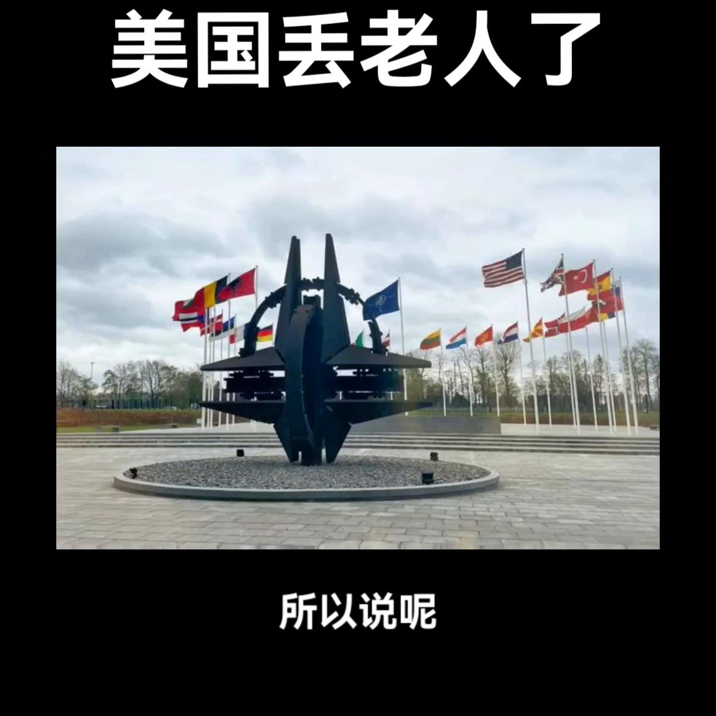 美国将迎来新一对中国大熊猫,美国航天器登月