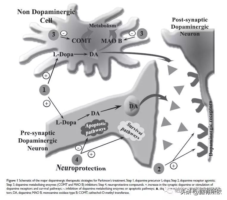 帕金森的治疗原则及目标,帕金森怎么治疗能延长寿命