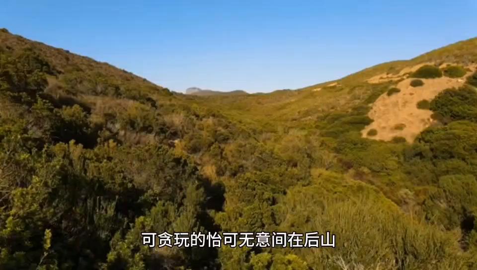 女子怀孕7个月与男友结婚,女子怀孕6个月结婚