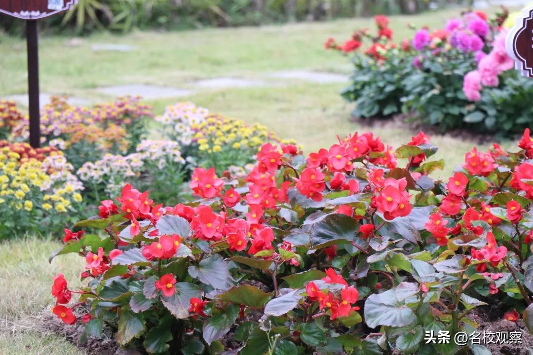 点亮时代文化之光,点亮中华优秀传统文化的智慧之光