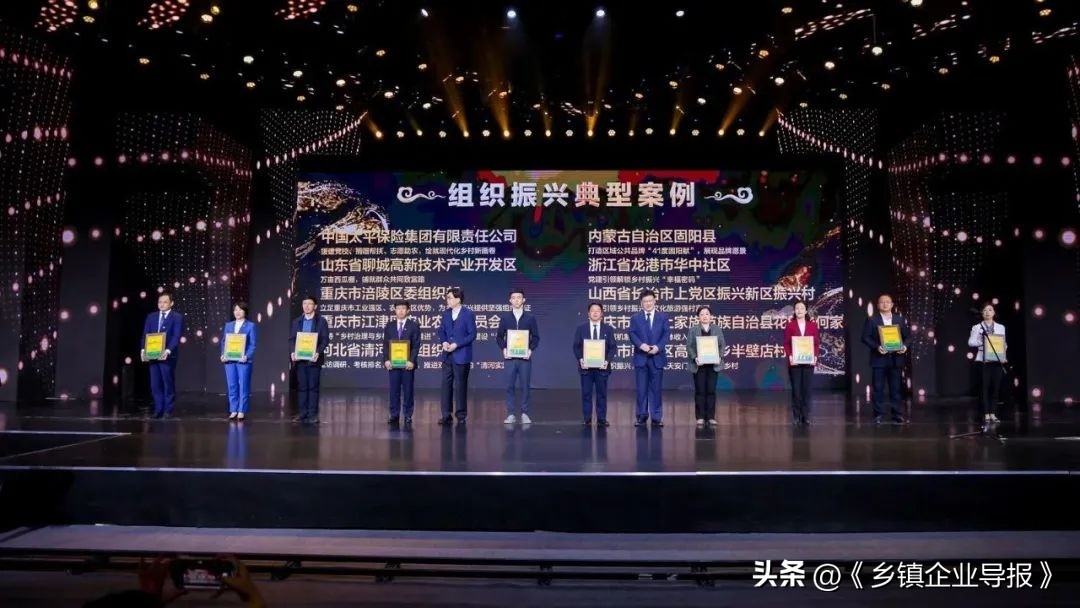 乡村振兴赋能计划人才典型案例,乡村振兴之文化振兴案例