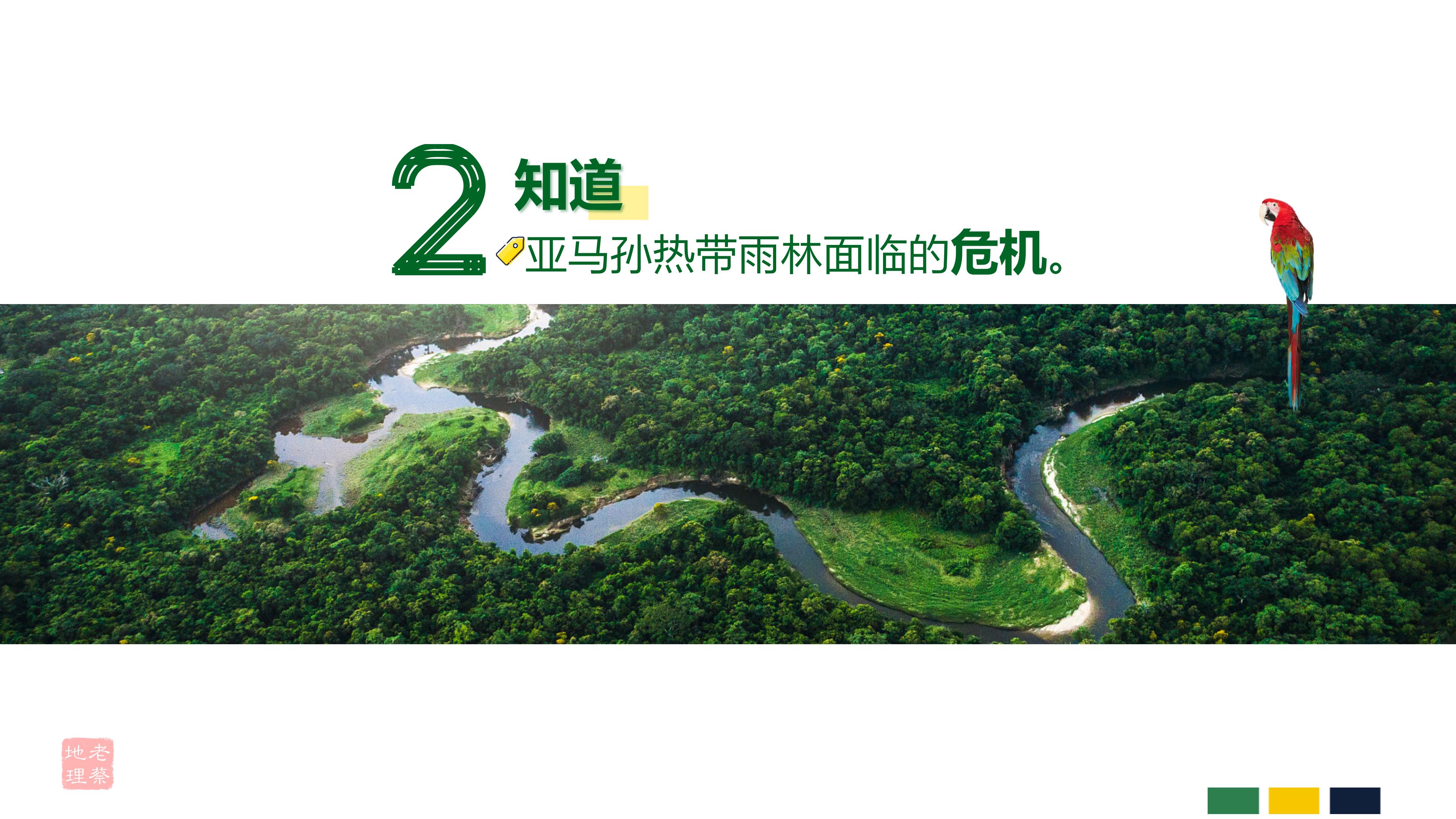 七年级下册地理第九章第二节巴西,七年级下册地理巴西2