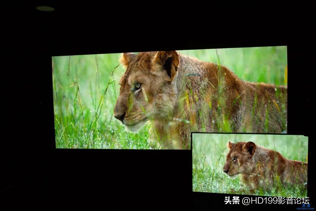 jvcn98和jvcn118实际效果差别大吗,jvcn118配什么幕布