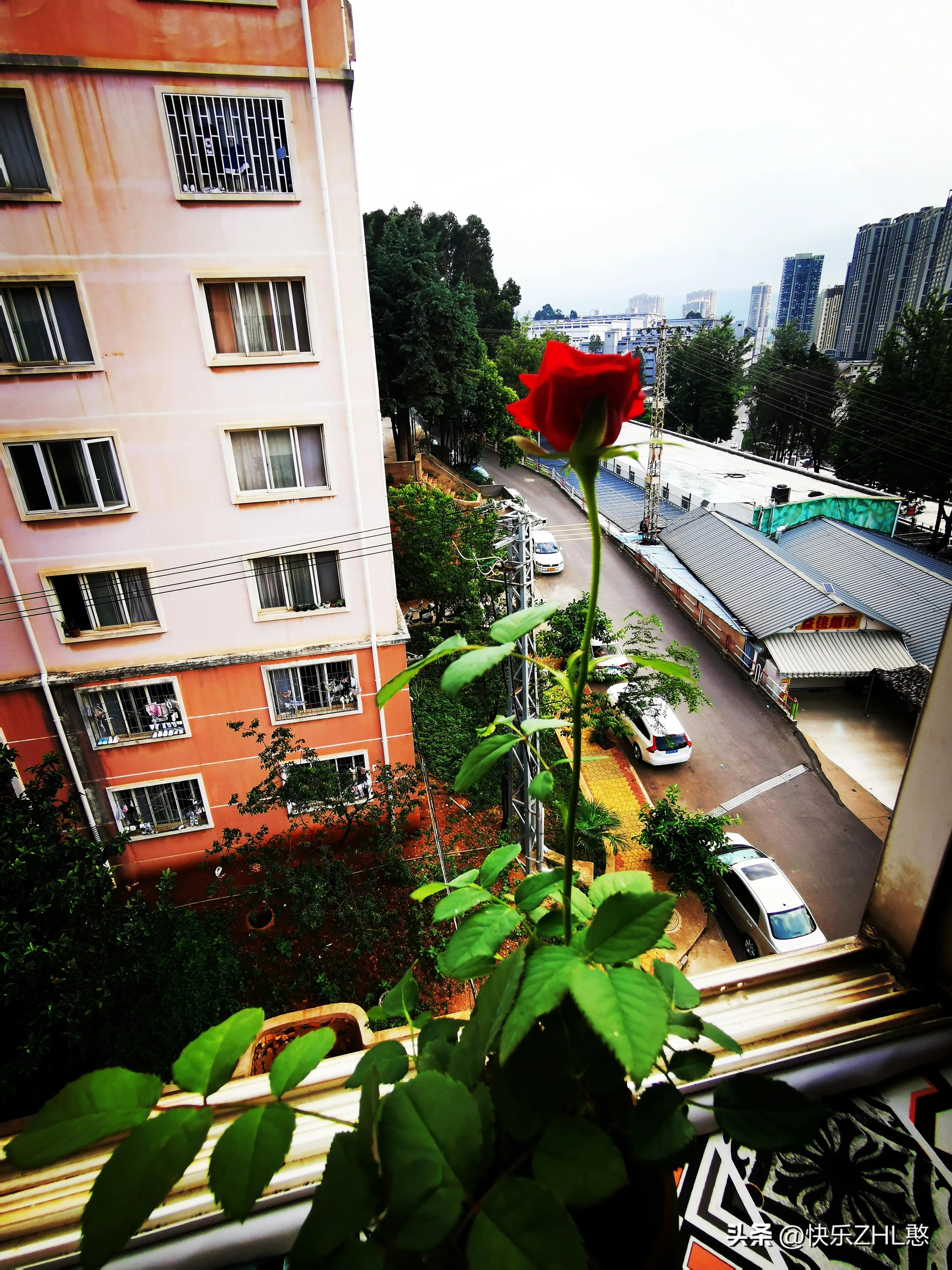 道枝骏佑憨言憨语,文字达人憨言憨语