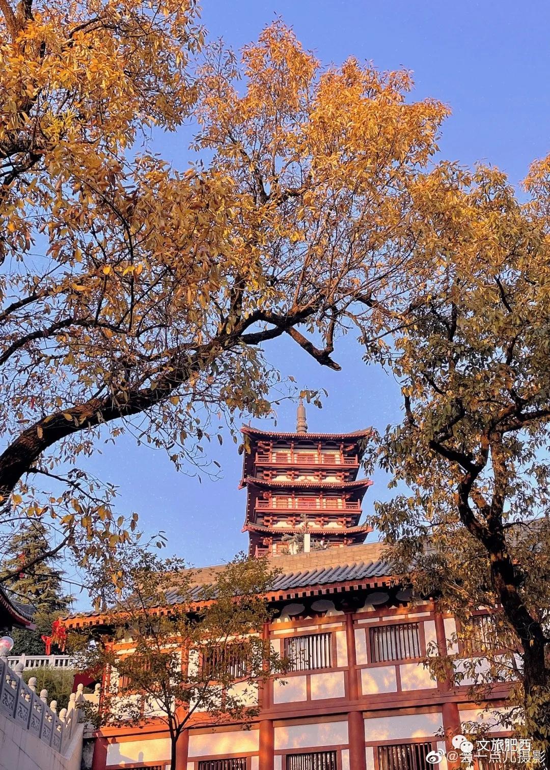 原来，在社交平台中，肥西的真实风景是这样的