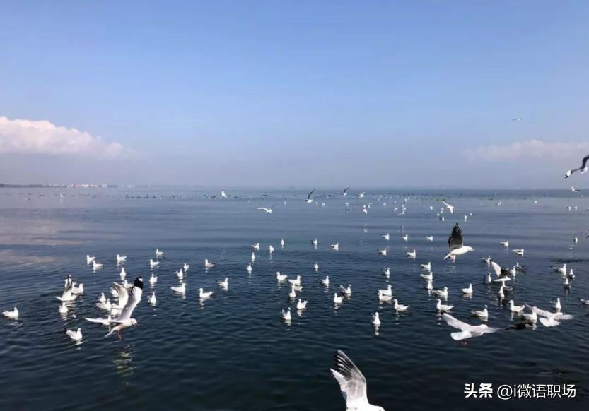 旅行副业赚钱方法,怎么边旅行边赚钱