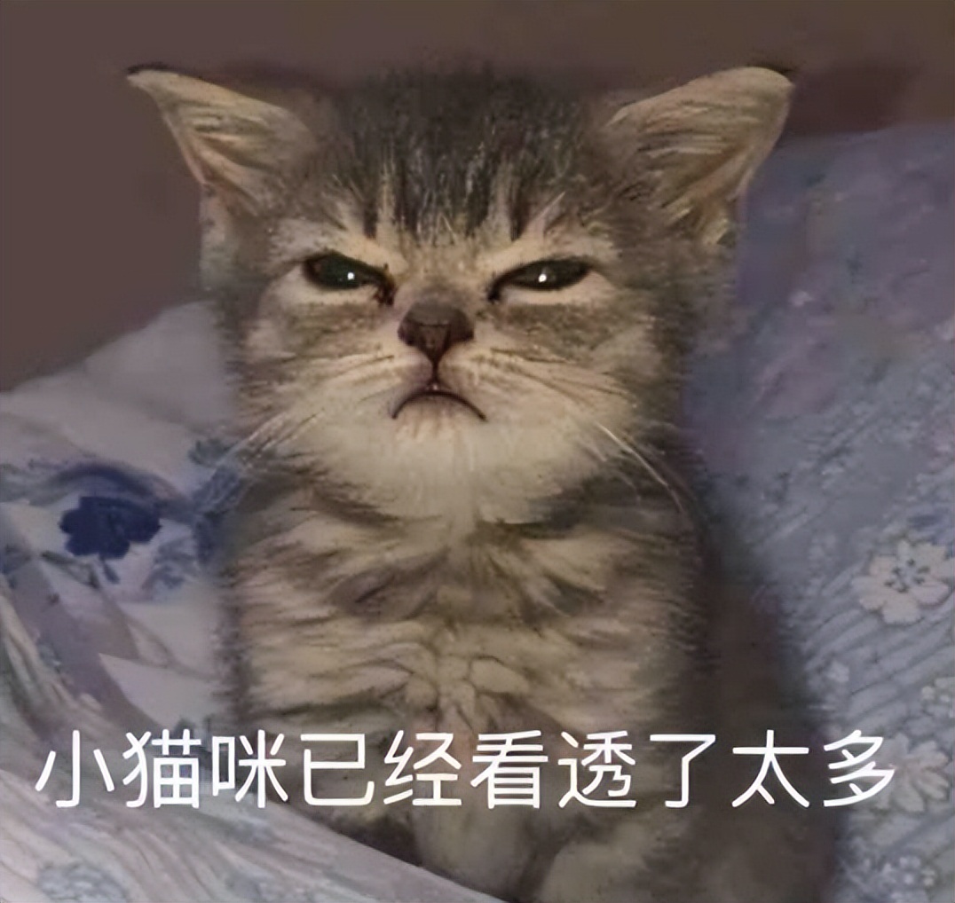 想创业没有钱怎么办,没有钱应该怎么创业