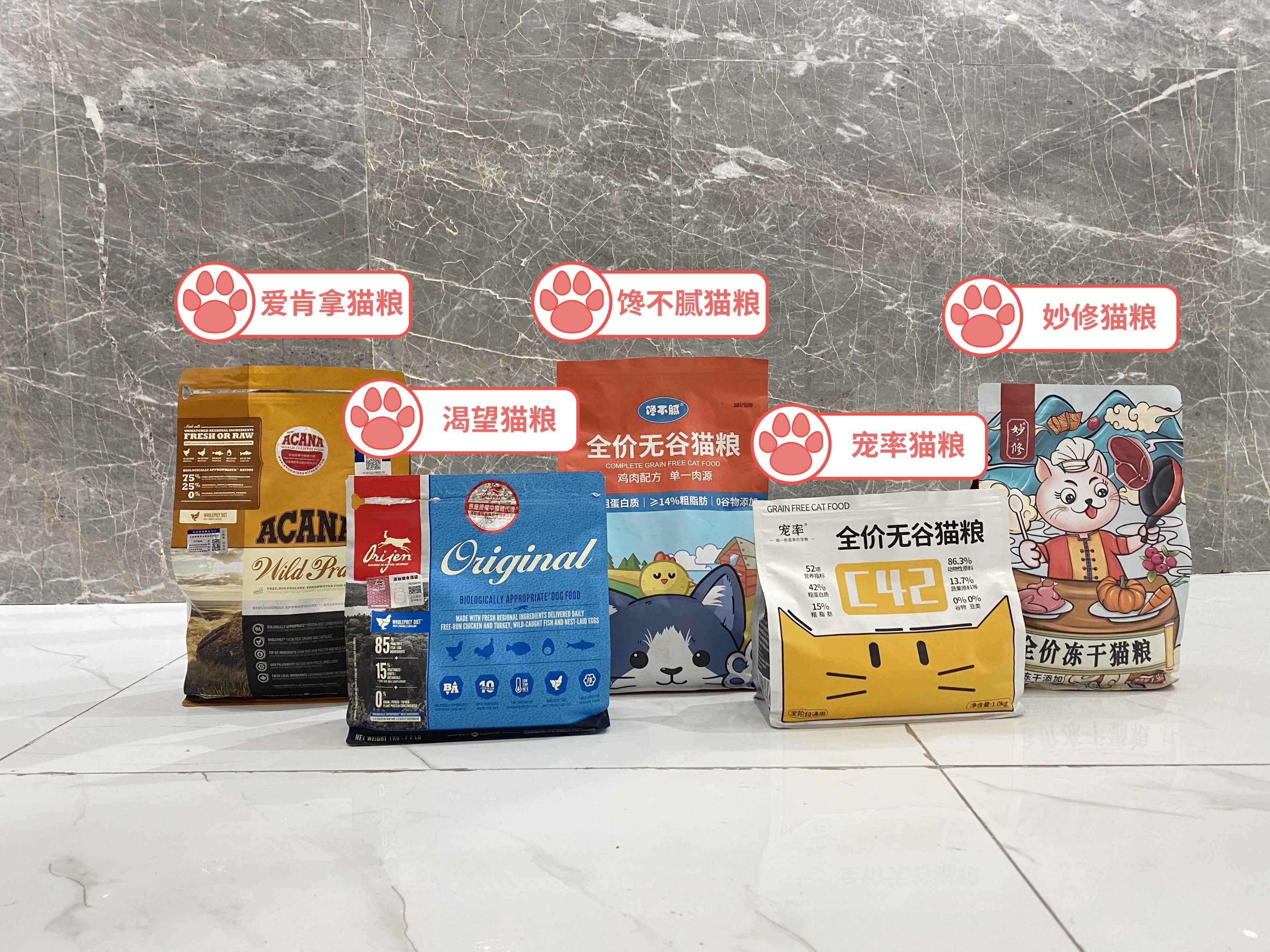 平价又好养的几种猫,平价好看猫