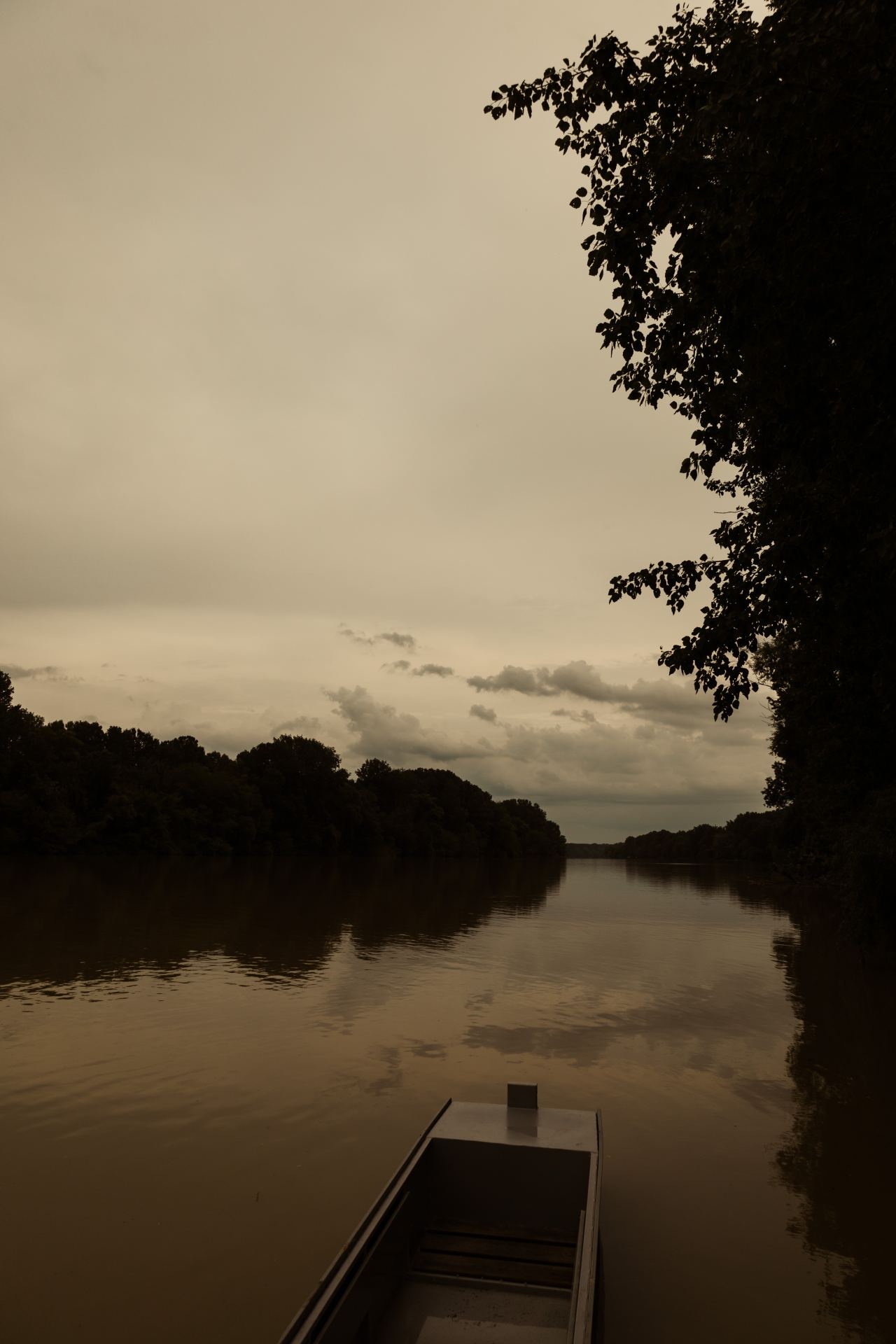 照片色彩怎么调得更鲜艳,对图片很敏感是为什么