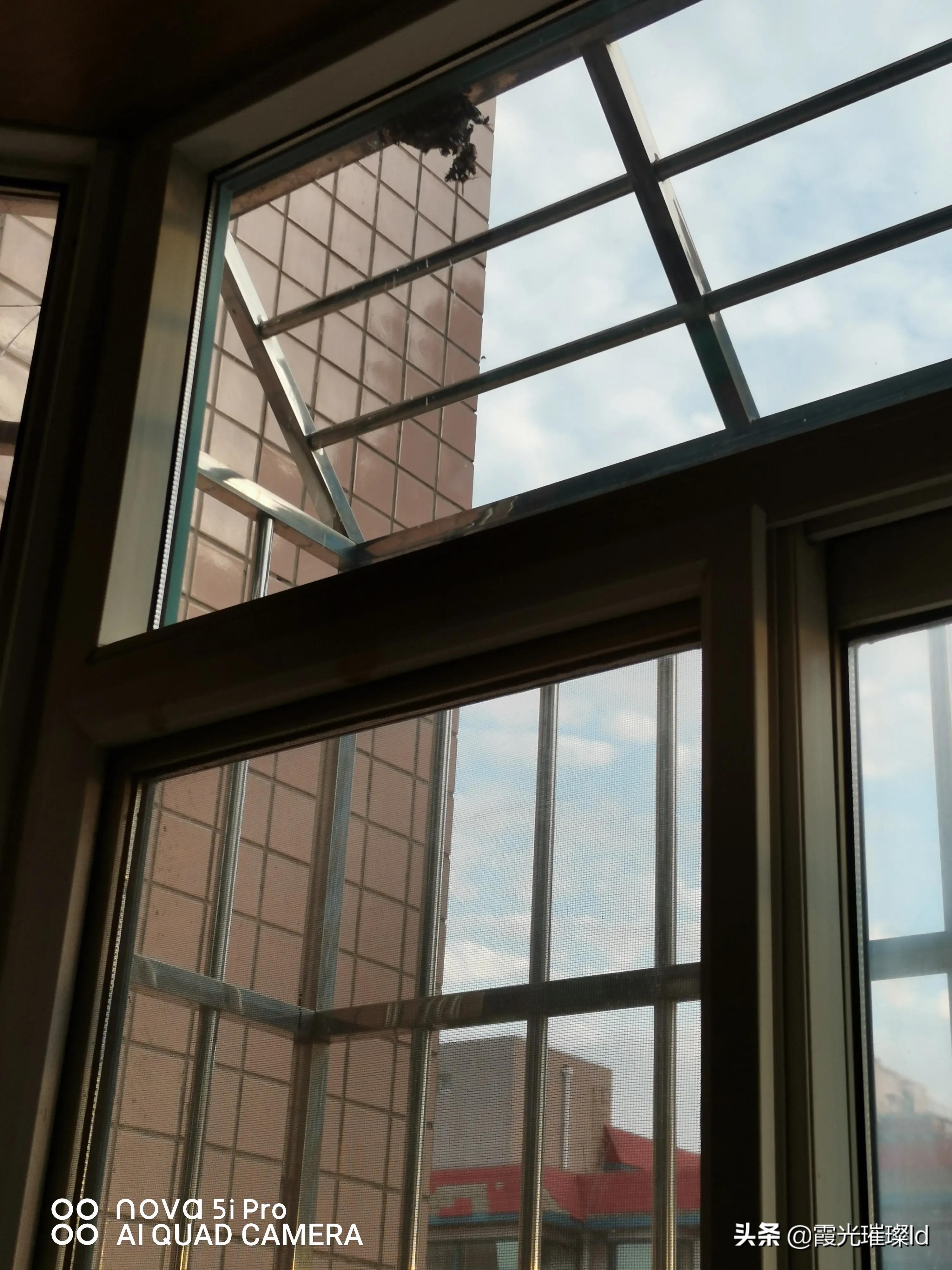 防盗窗有马蜂窝怎么办,防盗窗做的马蜂窝怎么形成的