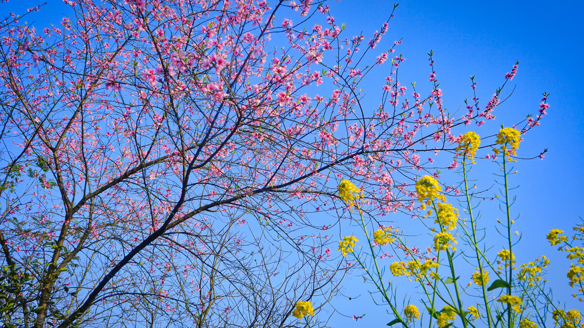 【中医五运六气：东风气交，物所由生】