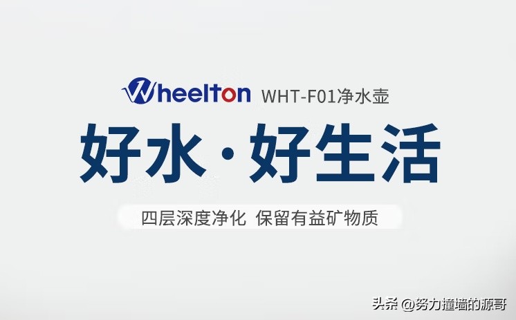 买哪种滤芯的净水壶好,滤水壶和净水壶哪个划算